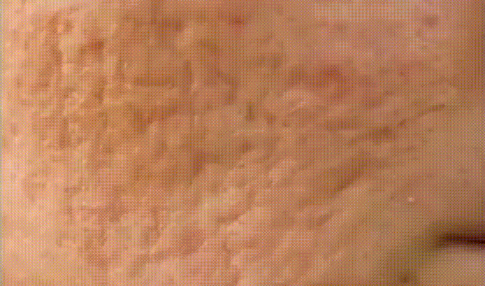 1.gif