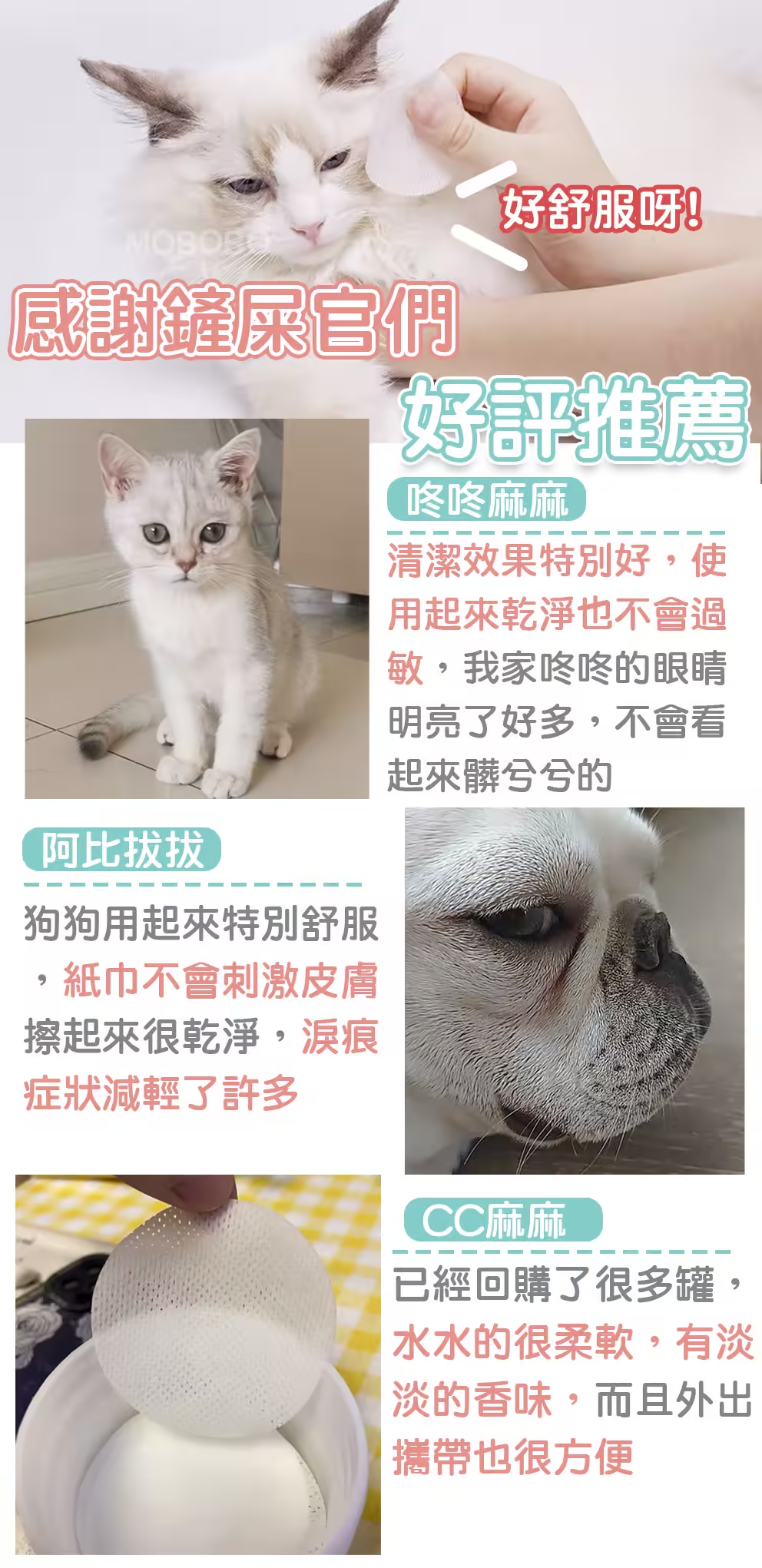 2c4952db826fbd50491ea3e6ab9ad2e.png